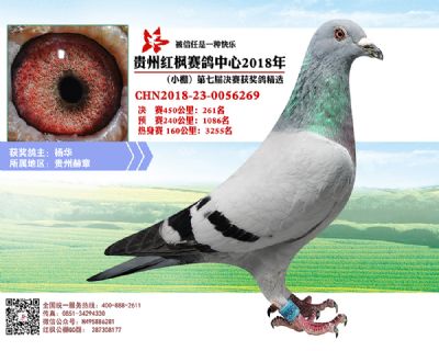 红枫小棚决赛261名