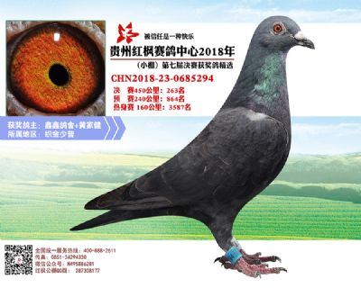 红枫小棚决赛263名