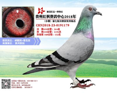 红枫小棚决赛264名