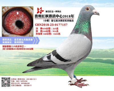 红枫小棚决赛265名