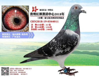 红枫小棚决赛267名
