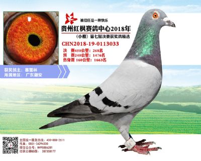 红枫小棚决赛268名