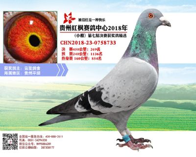 红枫小棚决赛269名