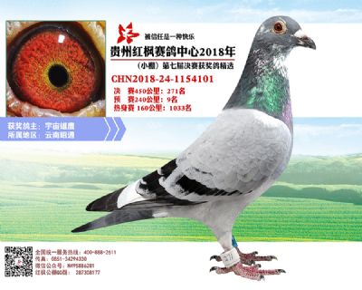 红枫小棚决赛271名