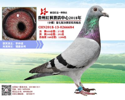 红枫小棚决赛275名