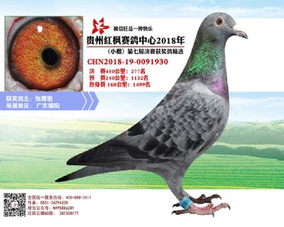 红枫小棚决赛277名