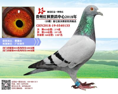 红枫小棚决赛279名