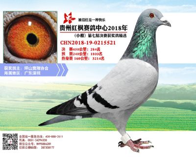 红枫小棚决赛284名