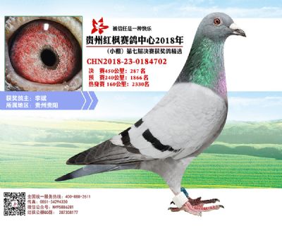 红枫小棚决赛287名