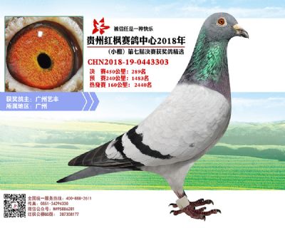 红枫小棚决赛289名
