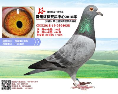 红枫小棚决赛291名