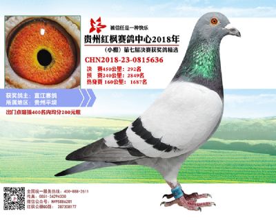 红枫小棚决赛292名