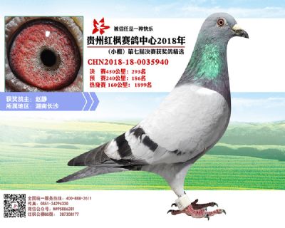 红枫小棚决赛293名