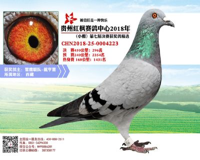 红枫小棚决赛296名