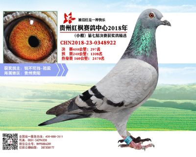 红枫小棚决赛297名