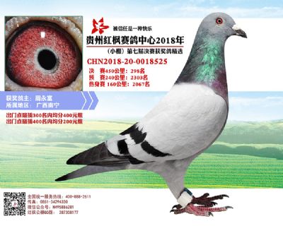 红枫小棚决赛298名