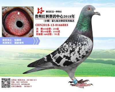 红枫小棚决赛299名