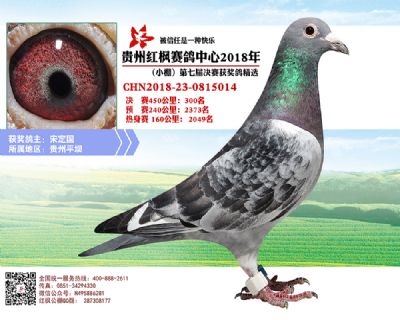 红枫小棚决赛300名
