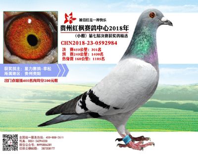 红枫小棚决赛301名