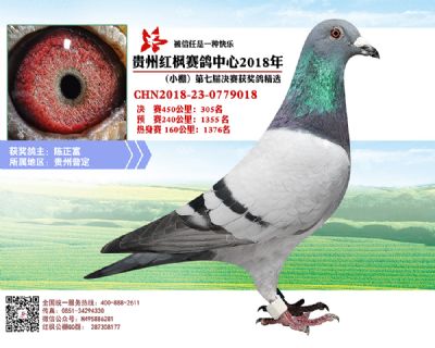 红枫小棚决赛305名