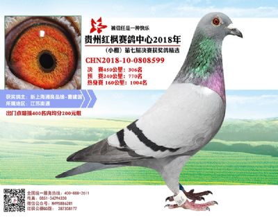 红枫小棚决赛306名