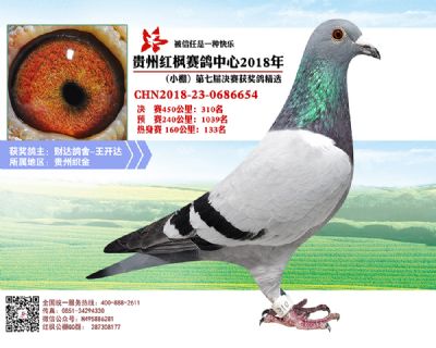 红枫小棚决赛310名