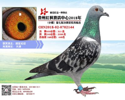 红枫小棚决赛311名