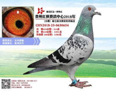 红枫小棚决赛314名