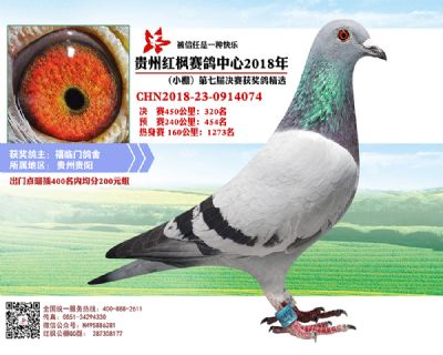 红枫小棚决赛320名