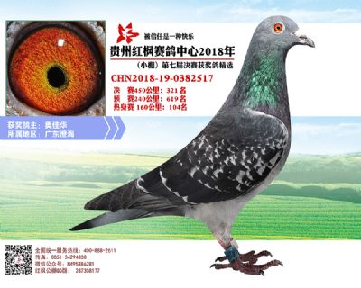 红枫小棚决赛321名