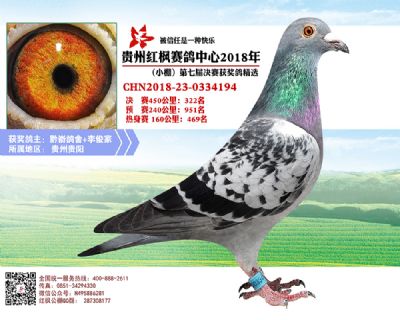红枫小棚决赛322名