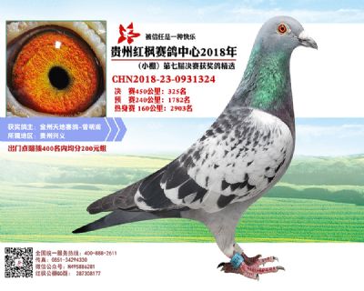 红枫小棚决赛325名