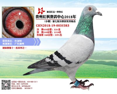 红枫小棚决赛326名