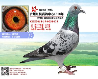红枫小棚决赛329名