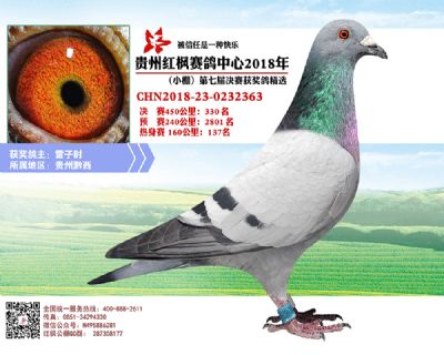 红枫小棚决赛330名