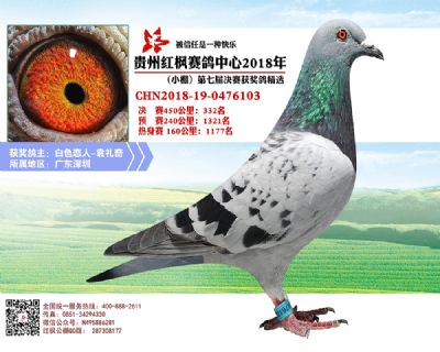 红枫小棚决赛332名