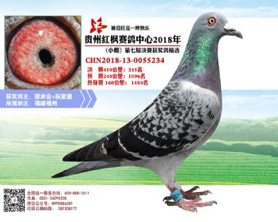 红枫小棚决赛335名