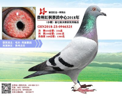 红枫小棚决赛336名