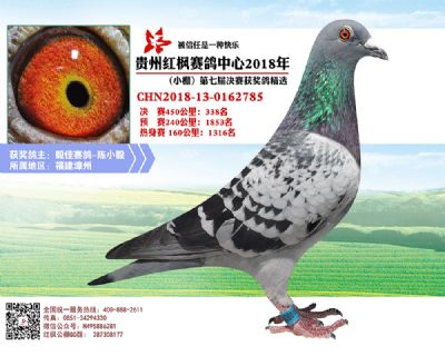 红枫小棚决赛338名