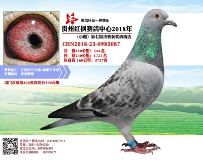 红枫小棚决赛344名