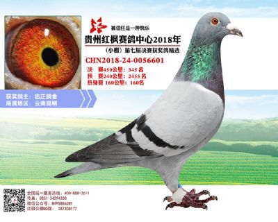 红枫小棚决赛345名