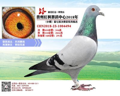 红枫小棚决赛346名