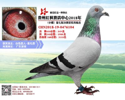 红枫小棚决赛349名