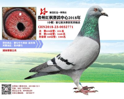 红枫小棚决赛350名