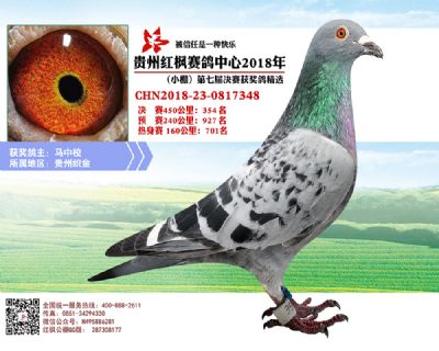 红枫小棚决赛354名