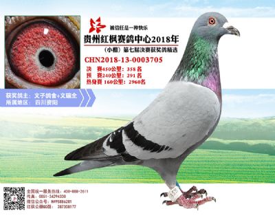 红枫小棚决赛358名