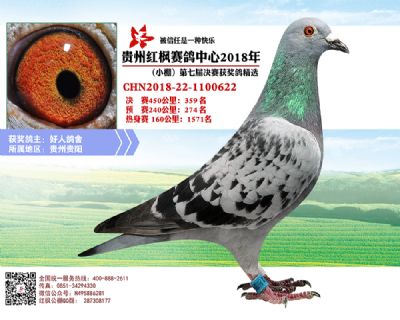 红枫小棚决赛359名