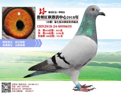 红枫小棚决赛360名