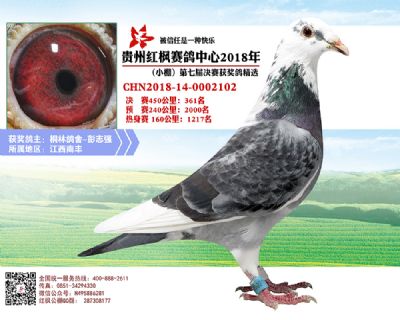 红枫小棚决赛361名