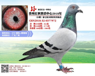 红枫小棚决赛362名